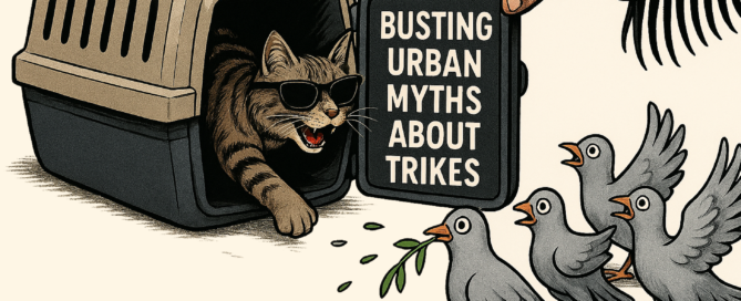 UK trike law and motorcycle legislation guide